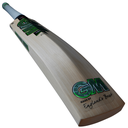 GM Verva LE Cricket Bat