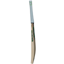 GM Verva LE Cricket Bat