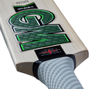 GM Verva LE Cricket Bat