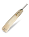 SG Triple Crown Arch 2.0 Cricket Bat