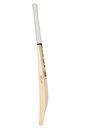 SG Triple Crown Arch 2.0 Cricket Bat