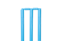 BlueClose2.webp