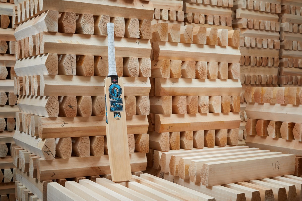 bs_diamond_bat_pe_24_1.webp
