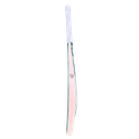 SG Yashasvi Jaiswal Cricket Bat - Side.webp