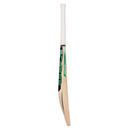 800 x 800-62.webp