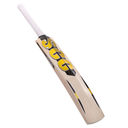 800 x 800-32.webp