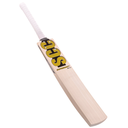 800 x 800-36.webp