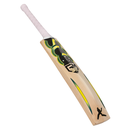 800 x 800-13.webp
