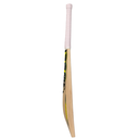 800 x 800-16.webp