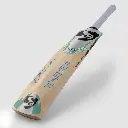 playersx bottom.webp