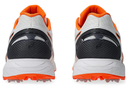 350-not-out-ff.jpg-5.webp