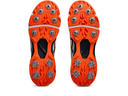 350-not-out-ff.jpg-7.webp