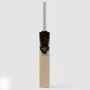 SG HP Icon Cricket Bat