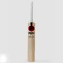 SG Sunny Tonny Icon Cricket Bat 