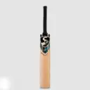 SG Boundary Classic Kashmir Willow Cricket bat