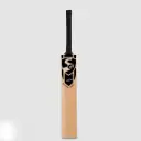 SG Boundary Xtreme Kashmir Willow Cricket bat