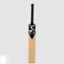 SG HP Spark Kashmir Willow Cricket bat