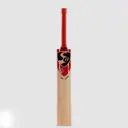 SG KLR Spark Kashmir Willow Cricket bat