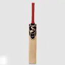 SG Profile Classic Kashmir Willow Cricket bat
