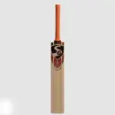 SG RP Spark Kashmir Willow Cricket bat