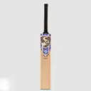 SG RSD Spark Kashmir Willow Cricket bat