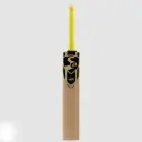 SG Savage Plus Kashmir Willow Cricket bat