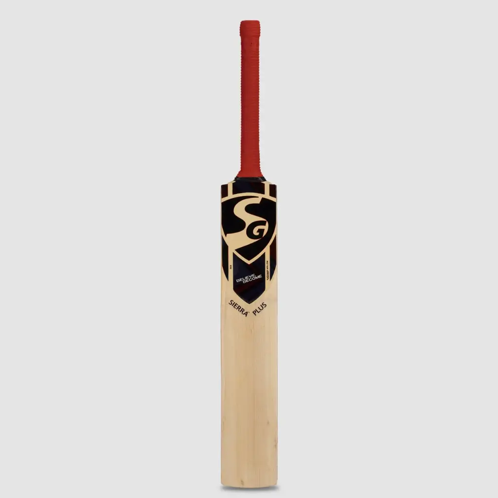 SG Sierra Plus Kashmir Willow Cricket bat