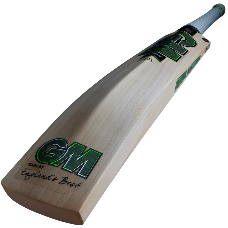 GM Verva Signature Cricket Bat