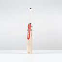 Gray Nicolls Classic Ultimate PP Cricket Bat - Junior
