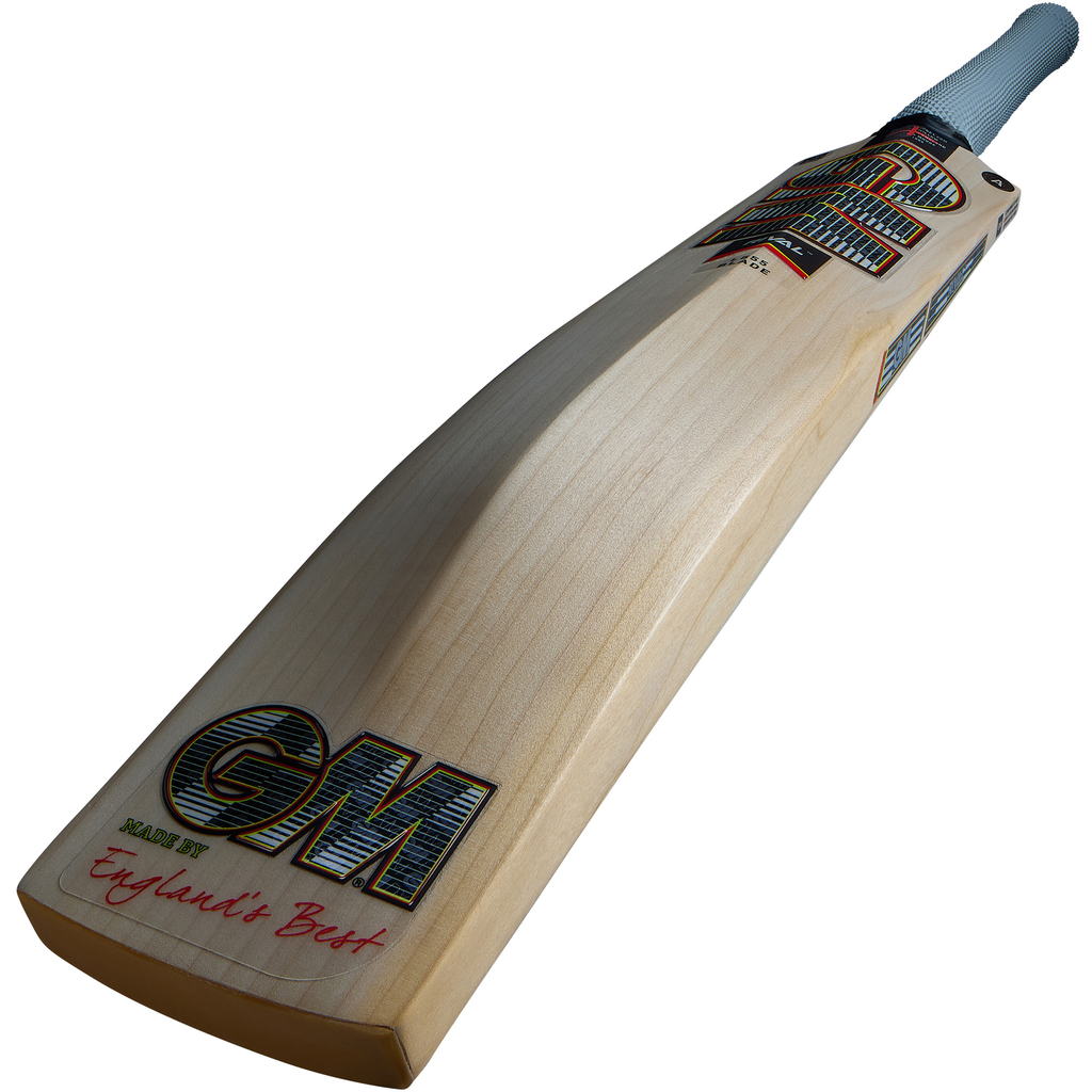 GM Rival Signature Cricket Bat