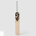 SG Ryan Parag Cricket Bat