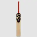 SG Sierra Plus Kashmir Willow Cricket bat