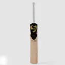 SG HP T-20 Cricket Bat