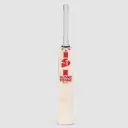 SG ARC 4.0 Cricket Bat